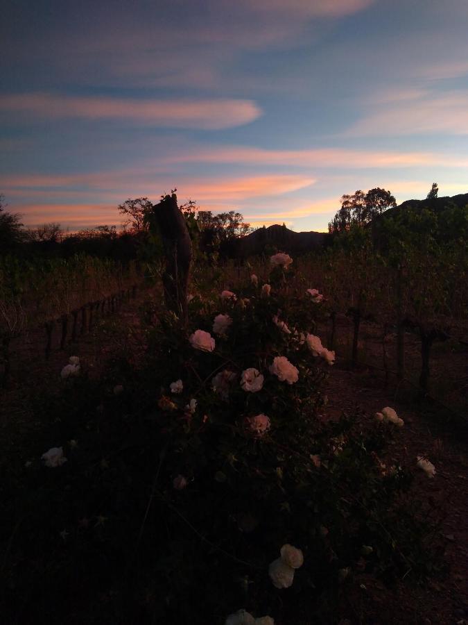 Hospedaje Finca La Encantada Seclantás 外观 照片
