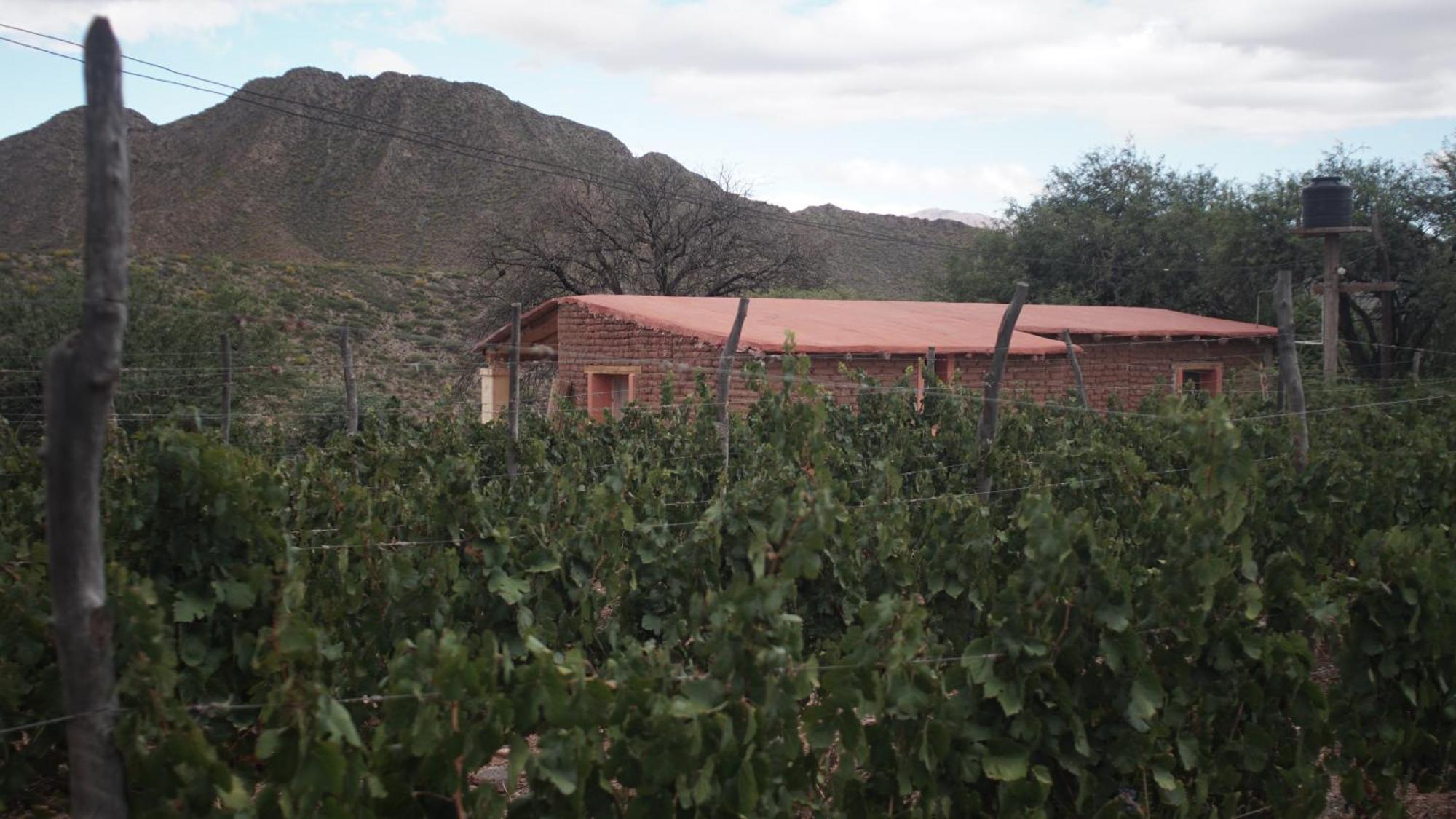Hospedaje Finca La Encantada Seclantás 外观 照片