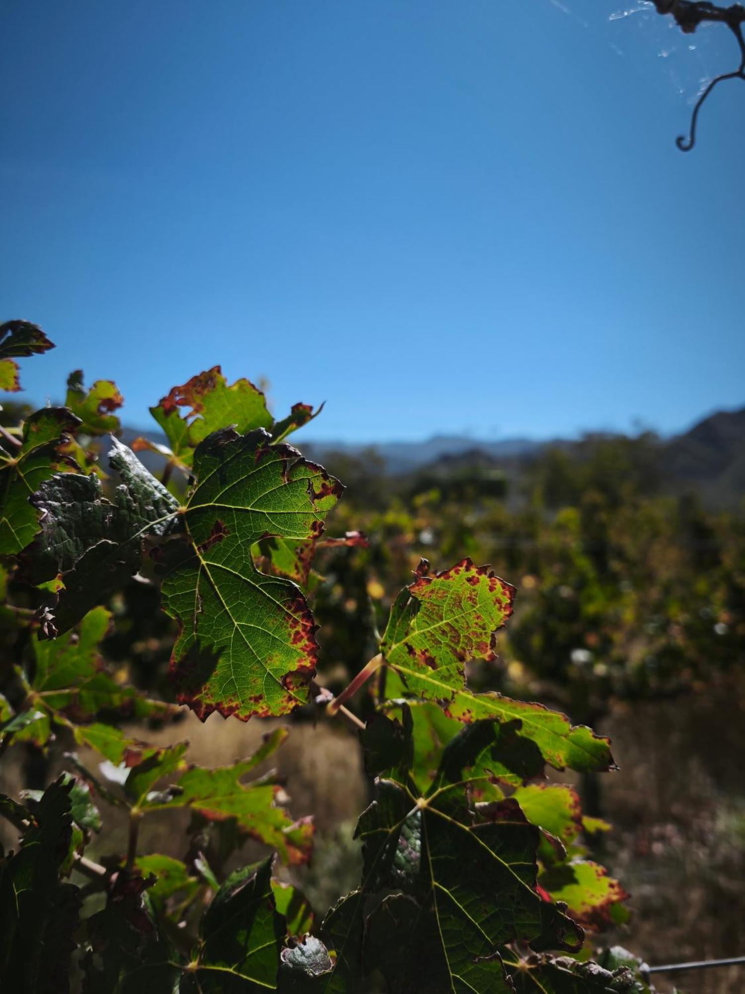 Hospedaje Finca La Encantada Seclantás 外观 照片